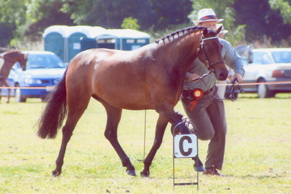 Isabella SWPA Summer 2006