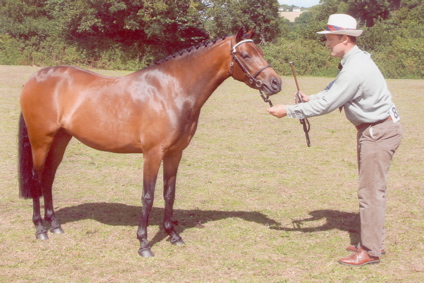 Isabella SWPA Summer 2006