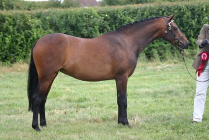 Isabella Wick St Lawrence